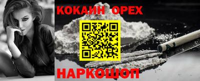 спиды Гай