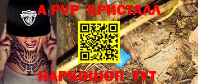 спиды Гай
