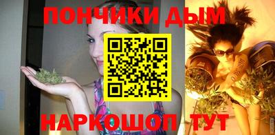 спиды Гай