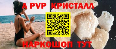 спиды Гай