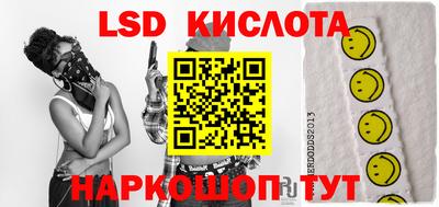 ПСИЛОЦИБИНОВЫЕ ГРИБЫ Гатчина