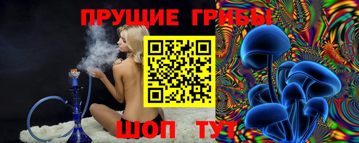 Галлюциногенные грибы мицелий  Вход с VPN  закладка  Гусиноозёрск 