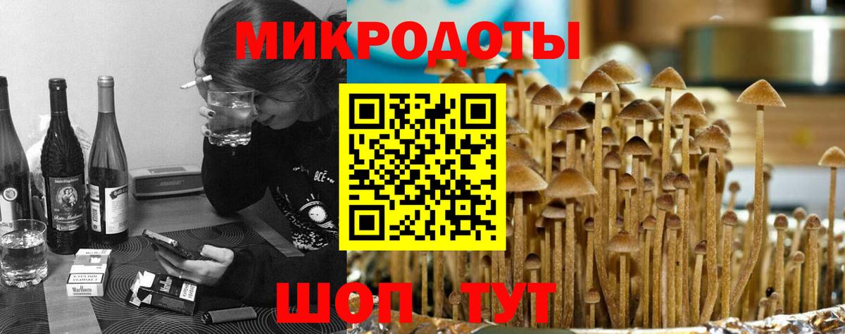 Псилоцибиновые грибы Psilocybine cubensis Гусиноозёрск